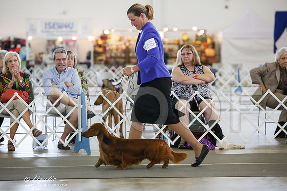 _JJ_2907-DallasJul2014-HR3