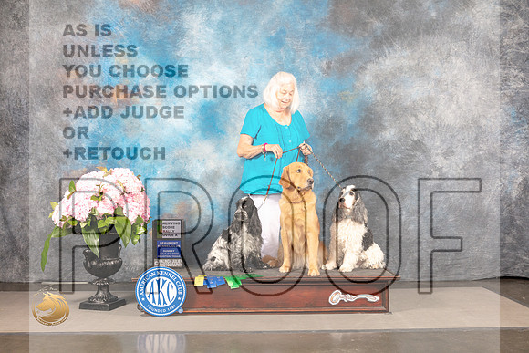 English Cocker Spaniel #18 SUN Rally Judge?_MJ_8085_Houston_2022_HR3