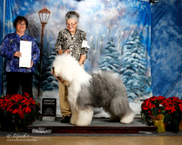 Old English Sheepdog #7 Sun G4 Enid J Fritts Judge Wendy Paquette