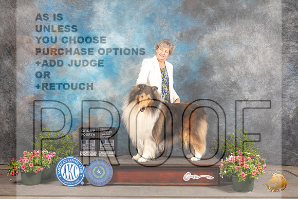 Collie Rough #9 Sun BOVG4 Judge Robert Shreve OHG4 Judge Allen Odom_MJ_1490_SA_2022_HR3