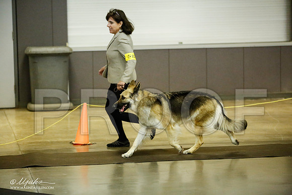 _JJ_7021-BeltonJan2015IABCA-HR3