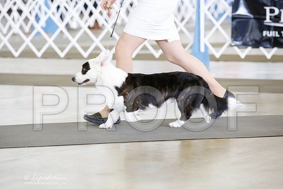_CK_8063-DallasJul2014-HR3