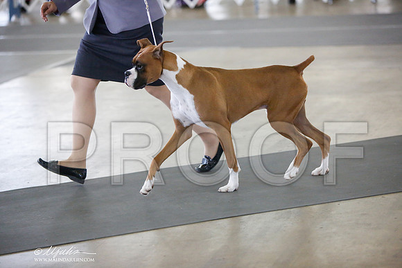 _JJ_8956-DallasJul2014-HR3