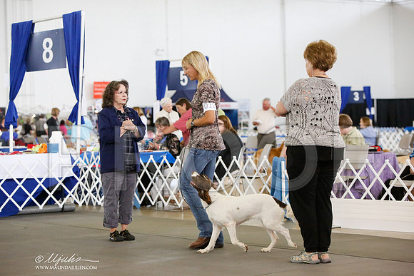 _JN_8502-DallasJul2014-HR3