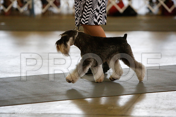 _JJ_2184-DallasJul2014-HR3