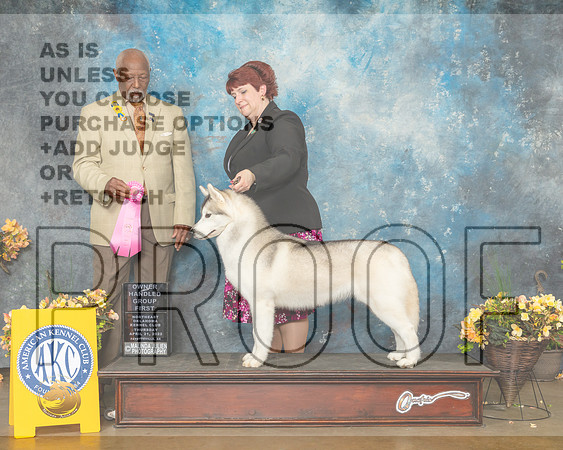 Siberian Husky #14 Thur OHG1 Judge Eugene Blake-MMJ_8962-NWARK2022-HR3