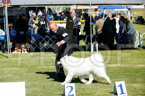 _JJ_5832-AlamogordoOct2014-HR3