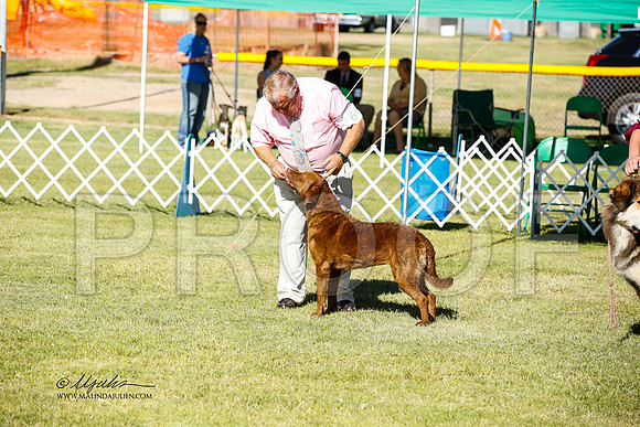 _JN_1625-AlamogordoOct2014-HR3