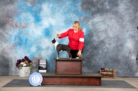 Boston Terrier #12 Sat G4 Judge Sulie Greendale-Paveza