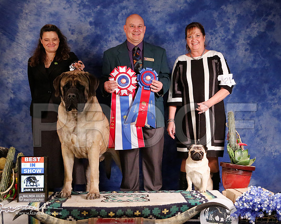 Mastiff-5727-GRJan14-HR