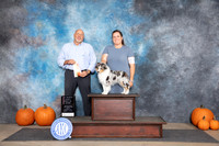 Shetland Sheepdog #5 Sun BPIS Judge Hal Biermann