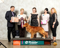Nova Scotia Duck Tolling Retriever #175 Thur Top103rd