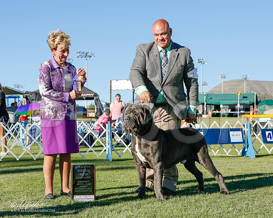_ST_3461-2-AlamogordoOct2014-HR3