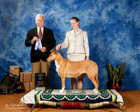 Collie Smooth #30 Sat WB Maj NewCh