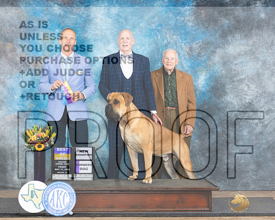 Boerboel #5 Fri BOBWDCH Judge Rick Gschwender_JP_9173e_Abilene_2024-HR3