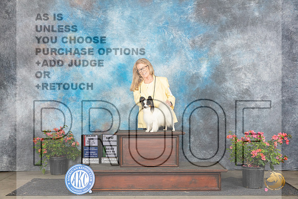 Papillion #17 Sat WDBOPBBreedByM Judge Azalea Alvarez__JP_4997_San Antonio_2024_HR3