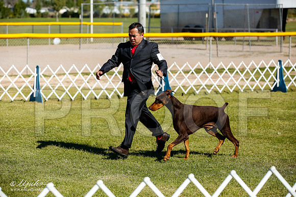 _JJ_9740-AlamogordoOct2014-HR3