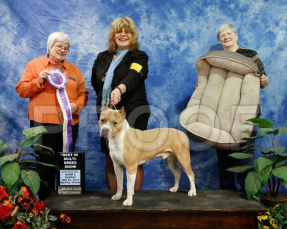APBT-7209-HtoJan14-HR