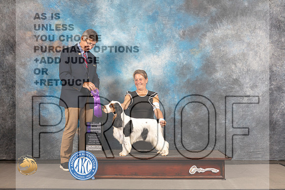 English Cocker Spaniel #16 WED WB Major Judge Richard Powell_MJ_2249_Houston_2022_HR3