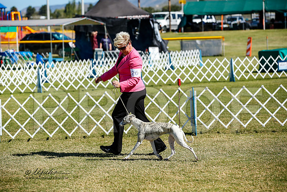 _JJ_2884-AlamogordoOct2014-HR3