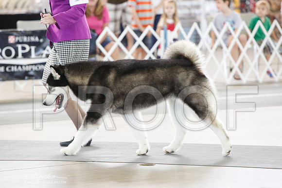 _JJ_0638-DallasJul2014-HR3