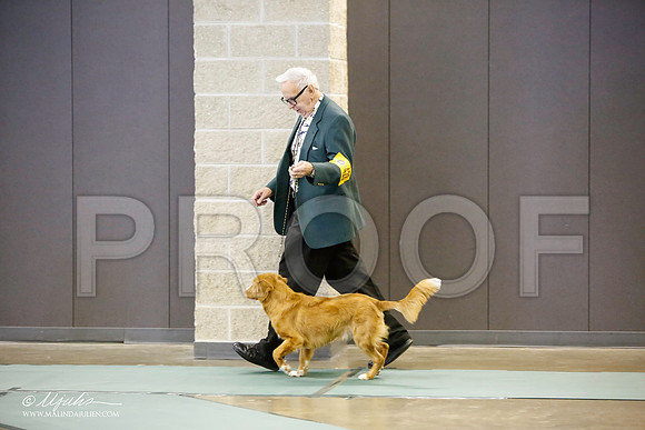 _LH_3086-BeltonJan2015-HR3