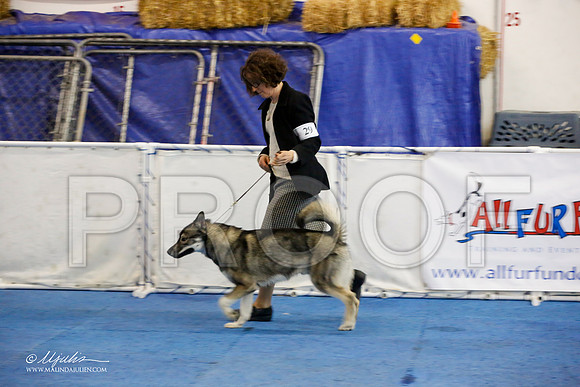 _M3_8240-AddisonHuskyMar2015-HR3