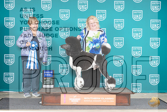 Poodle Std MC #128 Fr G1 Judge Mary Ellen Meyer__JP_6359_BatesvilleMS_2024_HR3