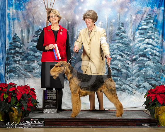 _ST_8170-DallasDec2014-HR3