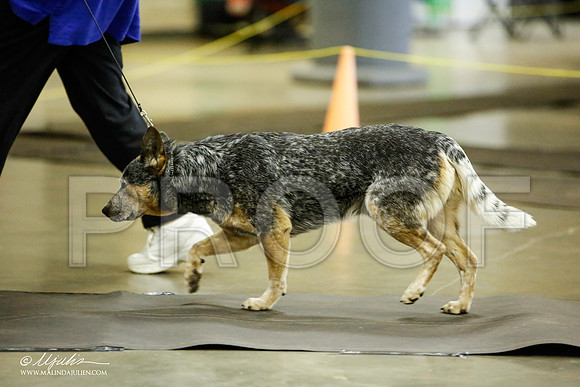 _JJ_6068-BeltonJan2015IABCA-HR3