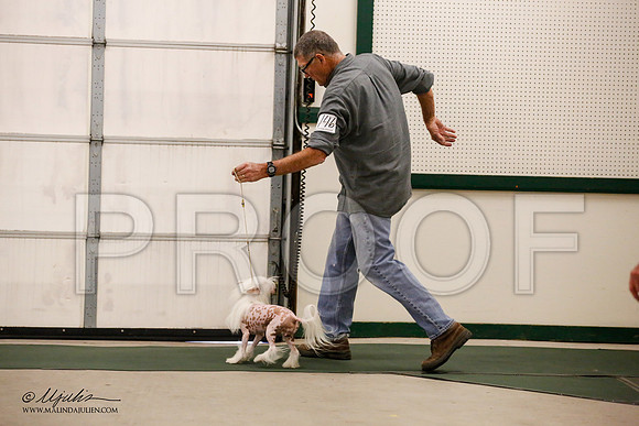 _JN_9025-NrmnNov2014-HR3