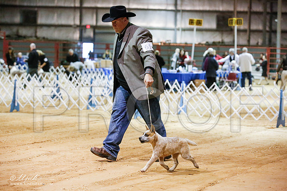 _JN_3933-2-GlenRoseJan2015-HR3