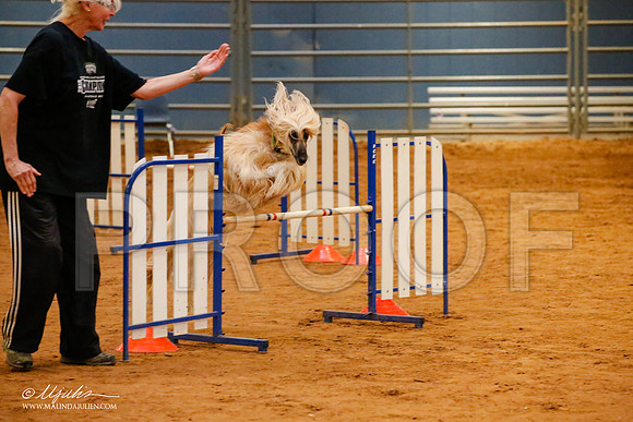 _JJ_5859-AfgBeltonOct2014-HR3