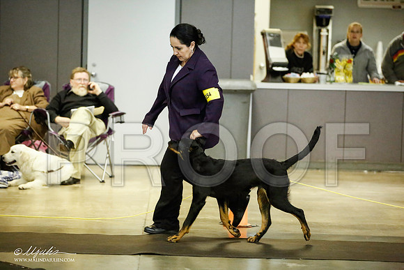 _JJ_6107-BeltonJan2015IABCA-HR3