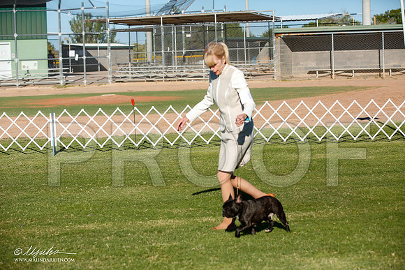 _JJ_6324-AlamogordoOct2014-HR3