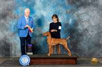 Viszla #6 Sat BOBOHBOB Judge Dr Steve Keating