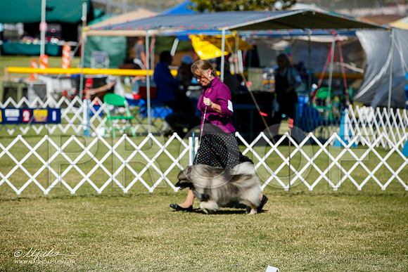 _JJ_1585-AlamogordoOct2014-HR3
