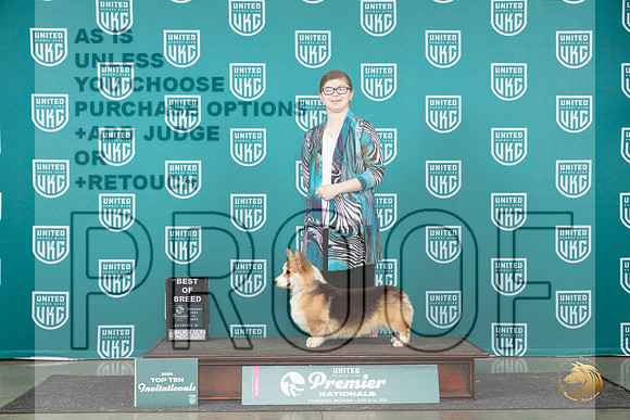Pembroke Welsh Corgi #1375 Thur T10BOB Judge Stephanie Mueller__JP_2191_Premier_2024_HR3