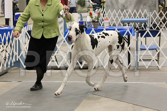IMG_9000-Abilene2011-HR3