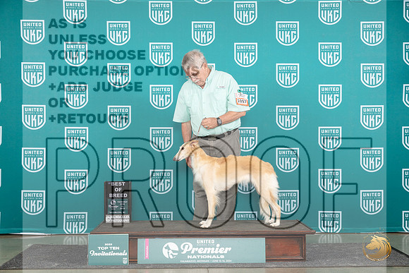 Silke Windhound #1097 Thur T10BOB Judge Deborah Allen__JP_0821_Premier_2024_HR3