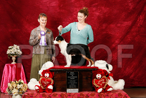 _ST_2504-2-BeltonJan2015-HR3