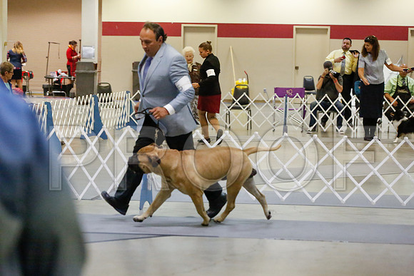 _JJ_9781-AmarilloSept2014-HR3