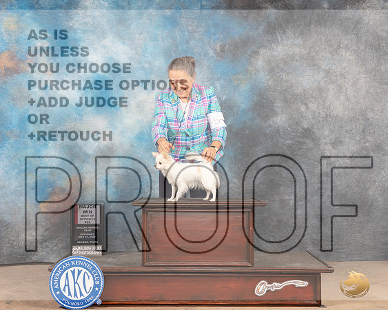 Chihuahua Long Coat #14 Sat WBBOS Judge Peggy McIlwaine-MMJ_4007-Abilene2022-HR3