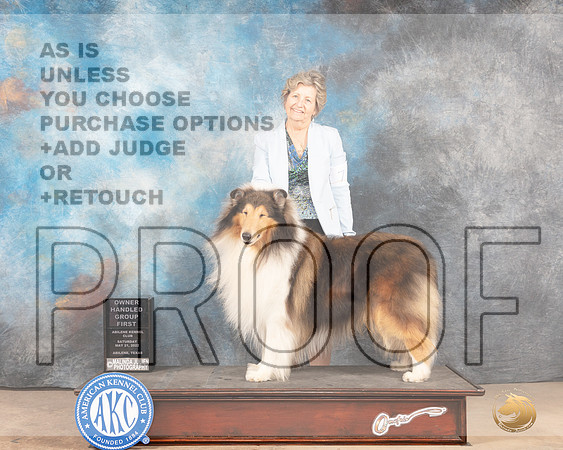 Collie Rought #7 Sat OHG1 Judge Gloria Kerr-MMJ_4257-Abilene2022-HR3