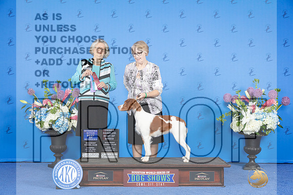 Brittany #18 SUN WB BOW OHBOB M Judge Annella Cooper_JP_0195e_Houston_2024-HR3