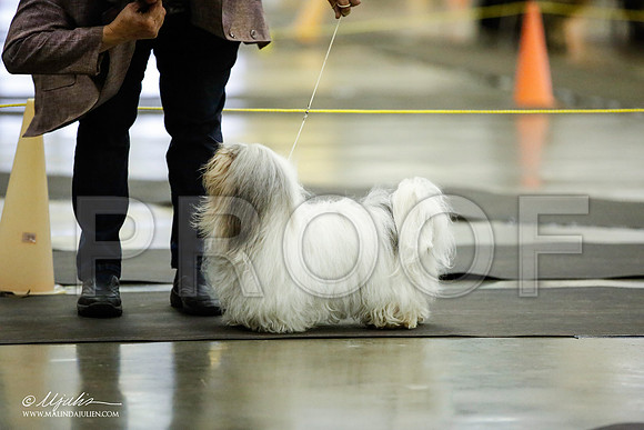 _JJ_5518-BeltonJan2015IABCA-HR3