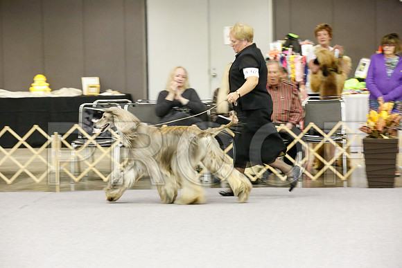 _JJ_7974-AfgBeltonOct2014-HR3