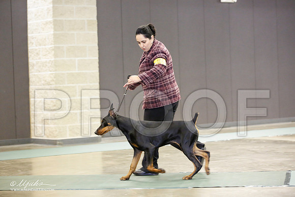 _JN_1880-BeltonJan2015-HR3