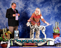 Dalmatian #8 Fri Winners Bitch Letsche Becky Judge John Booth