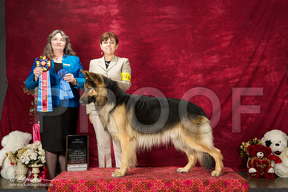 _ST_2905-BeltonJan2015IABCA-HR3